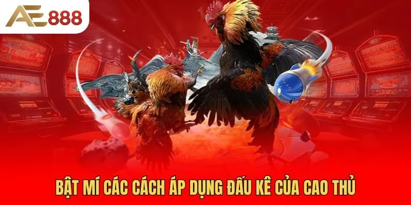 bat-mi-cac-cach-ap-dung-dau-ke-cua-cao-thu
