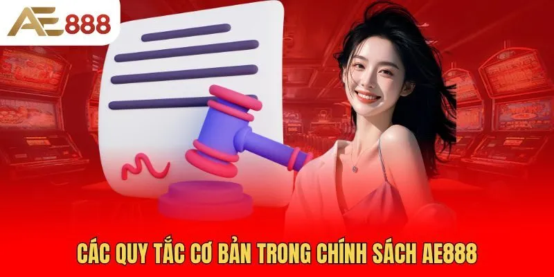 cac-quy-tac-co-ban-trong-chinh-sach-ae888