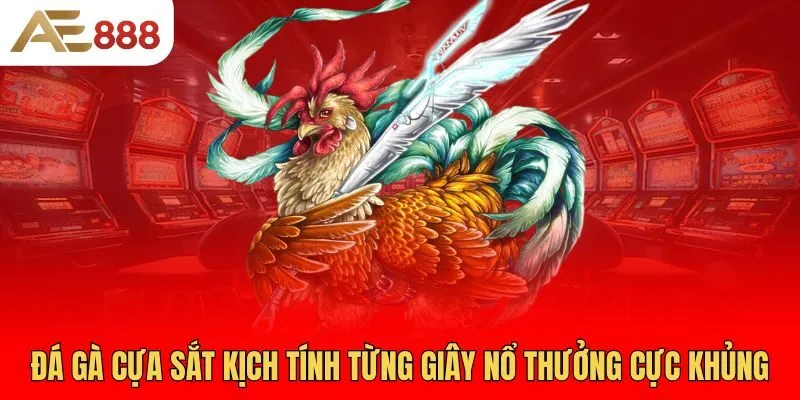 da-ga-cua-sat-kich-tinh-tung-giay-no-thuong-cuc-khung