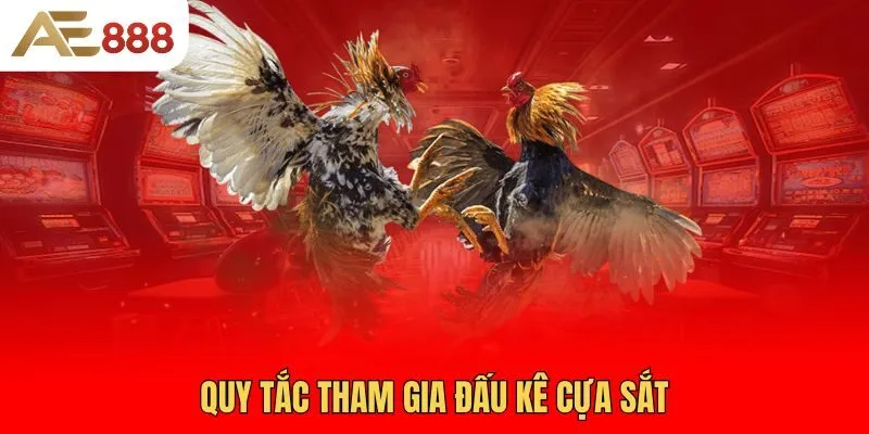 quy-tac-tham-gia-dau-ke-cua-sat