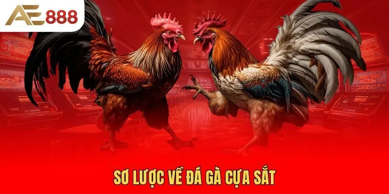 so-luoc-ve-da-ga-cua-sat