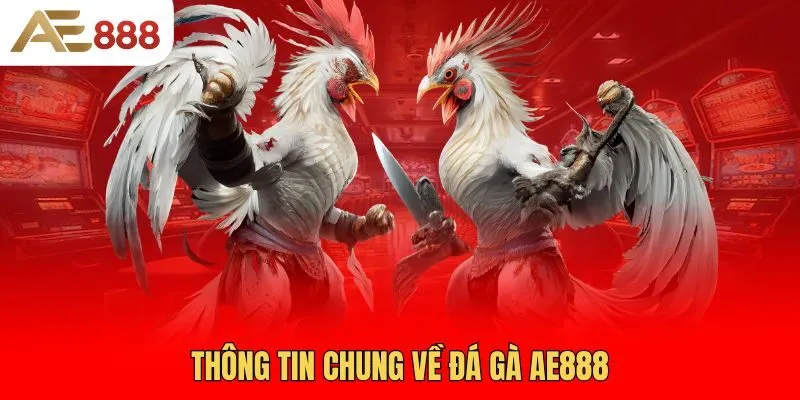 Thông tin chung về đá gà AE888