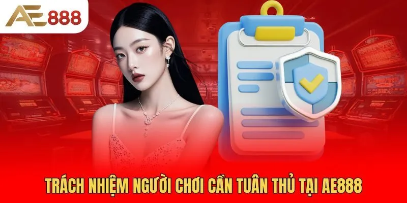 trach-nhiem-cua-khach-hang-khi-choi-ca-cuoc-tai-ae888-1