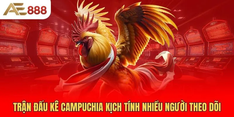 tran-dau-ke-campuchia-kich-tinh-nhieu-nguoi-theo-doi