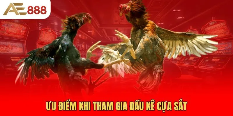 uu-diem-khi-tham-gia-dau-ke-cua-sat